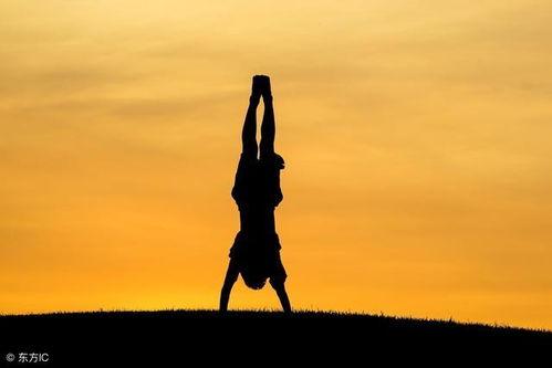 更高境界,探索人类潜能的至高境界